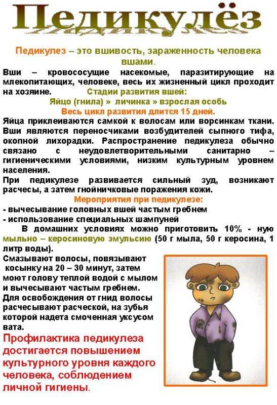 Профилактика педикулеза в домашних условиях